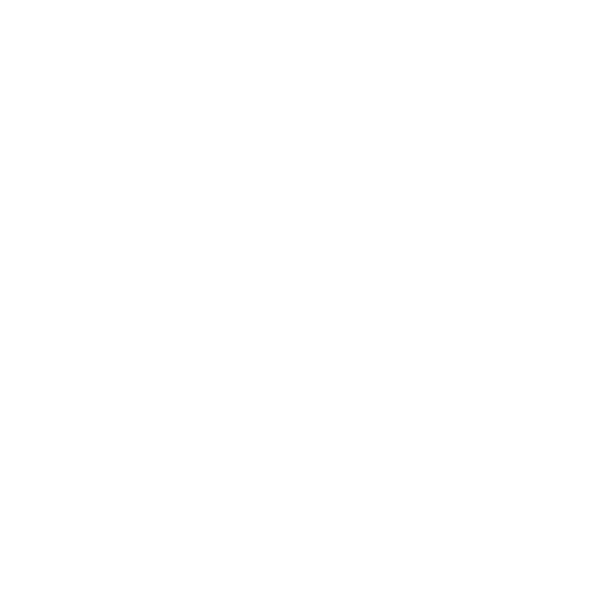 Fast Eddie's Braun logo
